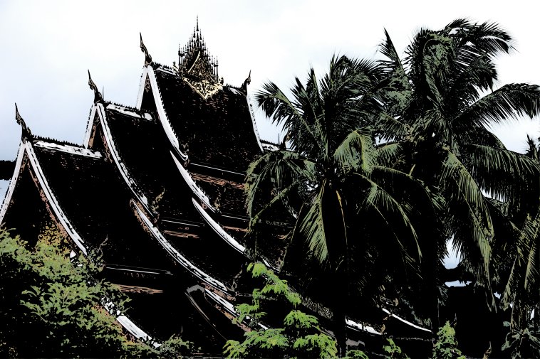 Palm roof
